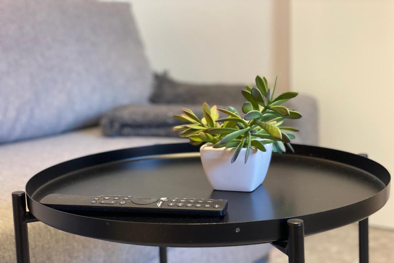 Apartamentos Mk77 Leon - Lahoz Exteriér fotografie